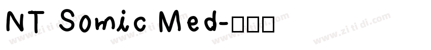 NT Somic Med字体转换
